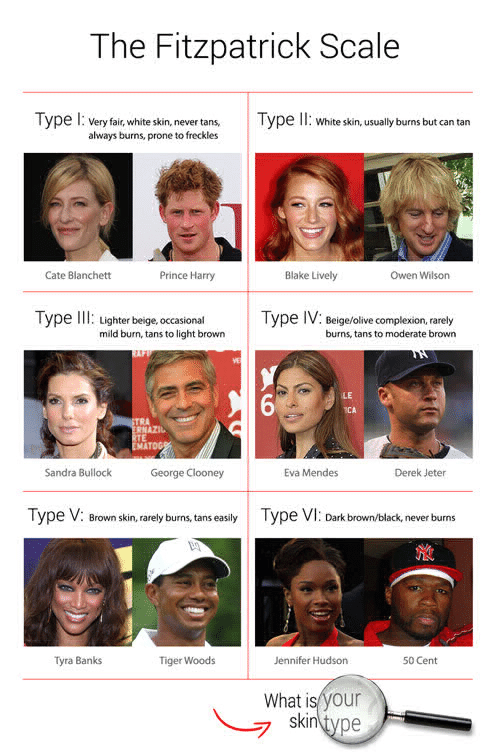 Fig A7 Example of a template for Fitzpatrick skin types given to the annotatorsppm