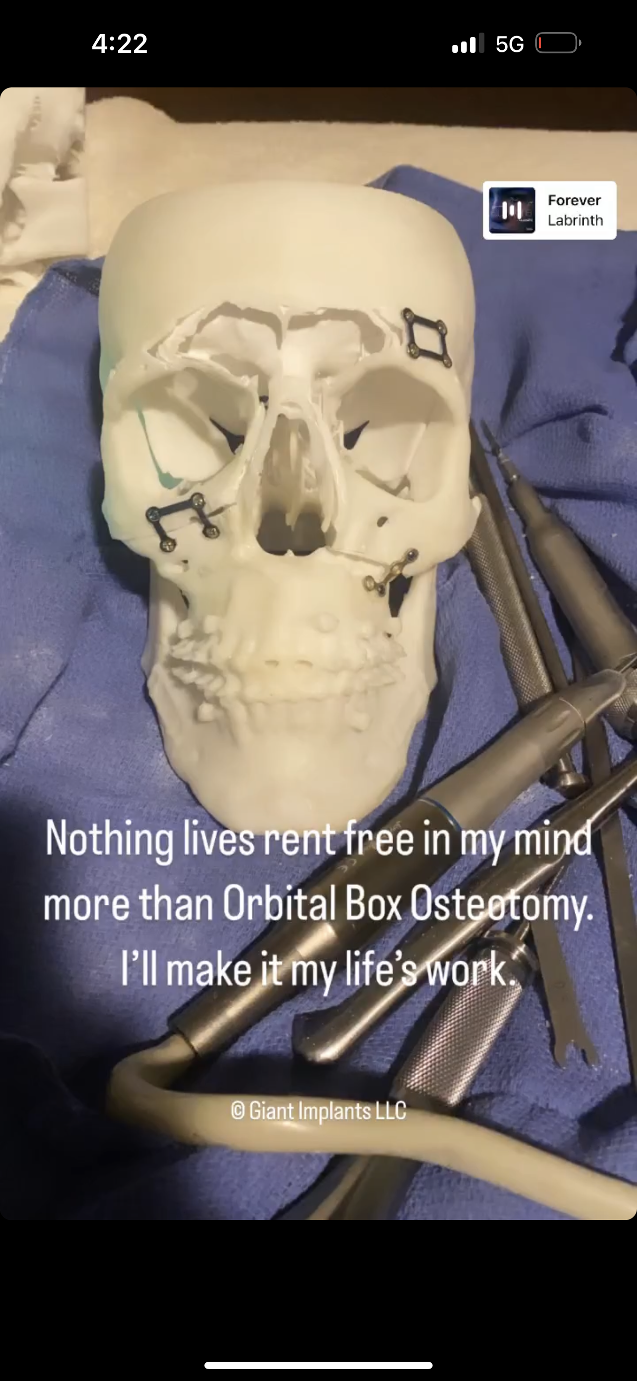 1B74CD77 6B81 40DE 9532 2DA2B9DBACF8