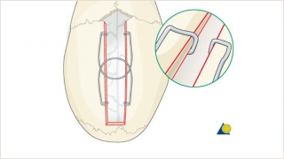 193E8349 8DCE 40E6 A1ED 5F6E13B1C8F2