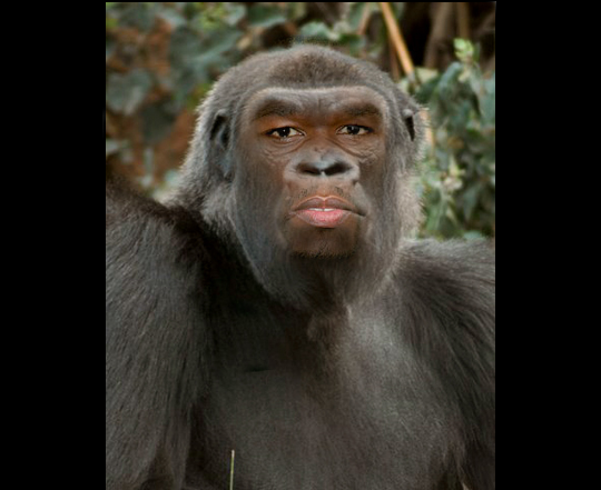 50cent