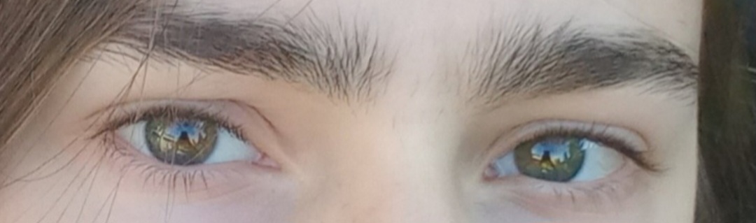 Screenshot 20230225 182613 Gallery