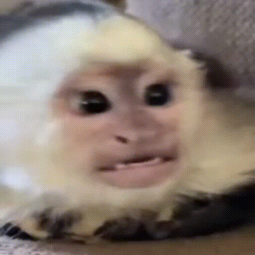 1677363733221