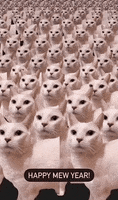 3948D77C-9A66-4583-8CFD-4AD8FB895588.gif