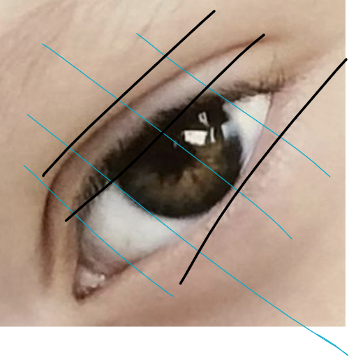 Screenshot 2023 02 04 122440
