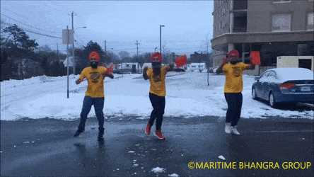 GrandioseRightHorseshoebat-max-1mb.gif