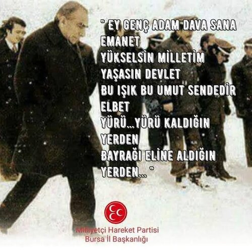 Images 11 14