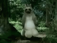 Balls