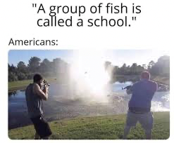 1677684426995