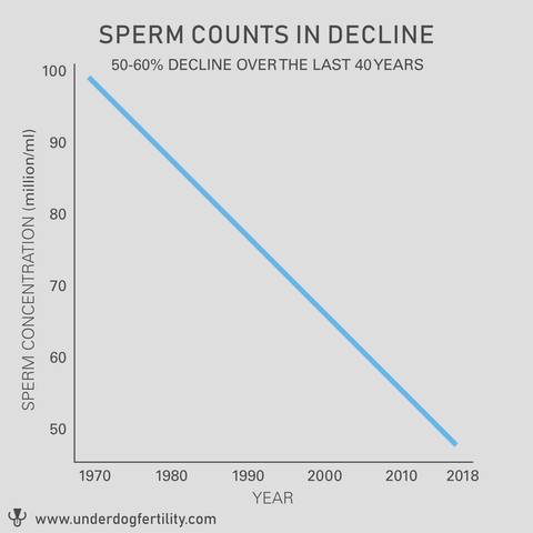 Sperm counts in decline large