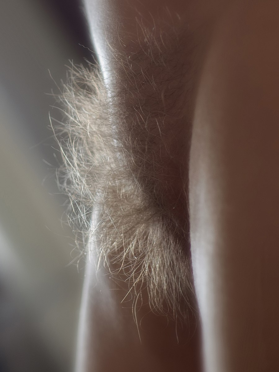 Blonde schamhaare
