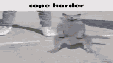 Cope cat