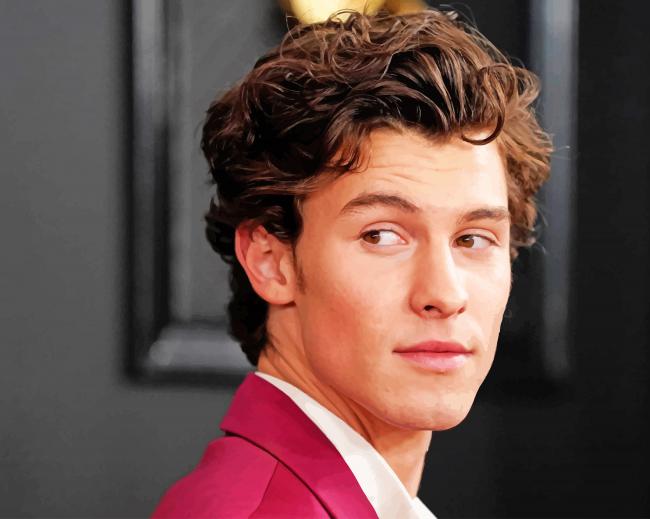 Shawn mendes canadian handsome singer paint by number