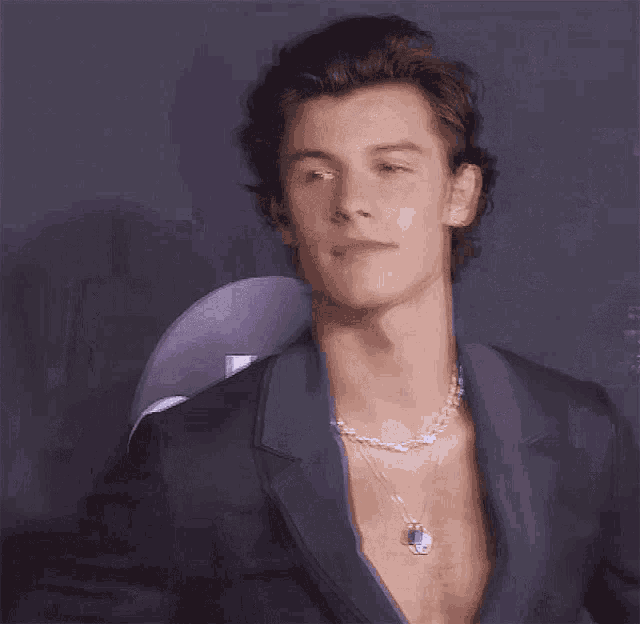 Shawn mendes smile