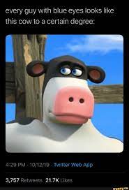 Every guy with blue eyes looks like this cow to a certain degree: 4129 PM -  10/12/19 - Twitter Web App - seo.title | Cow meme, Funny animal jokes,  Funny animal memes