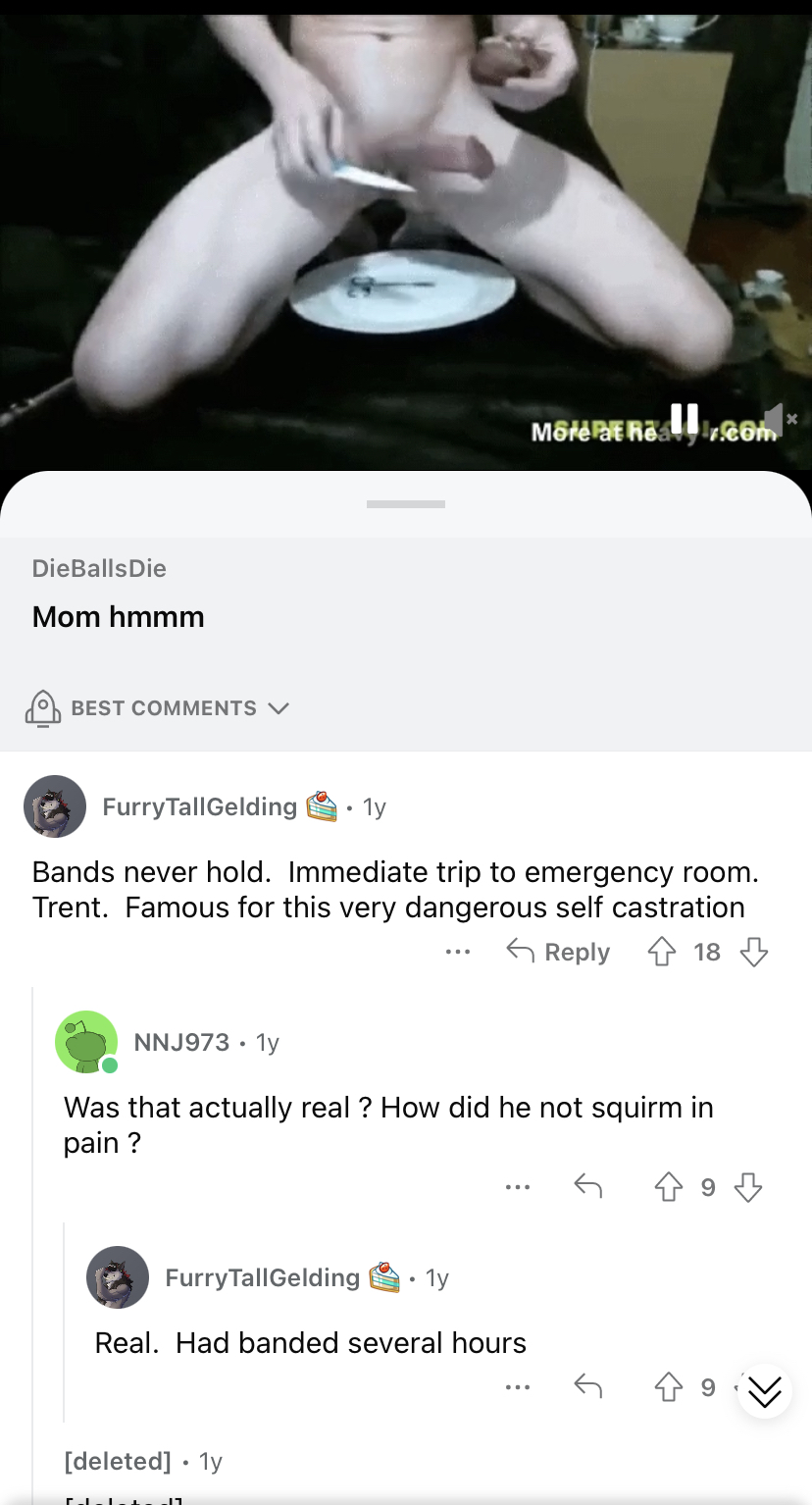 C0707181 7C82 4C6D 86B9 3850048B0919