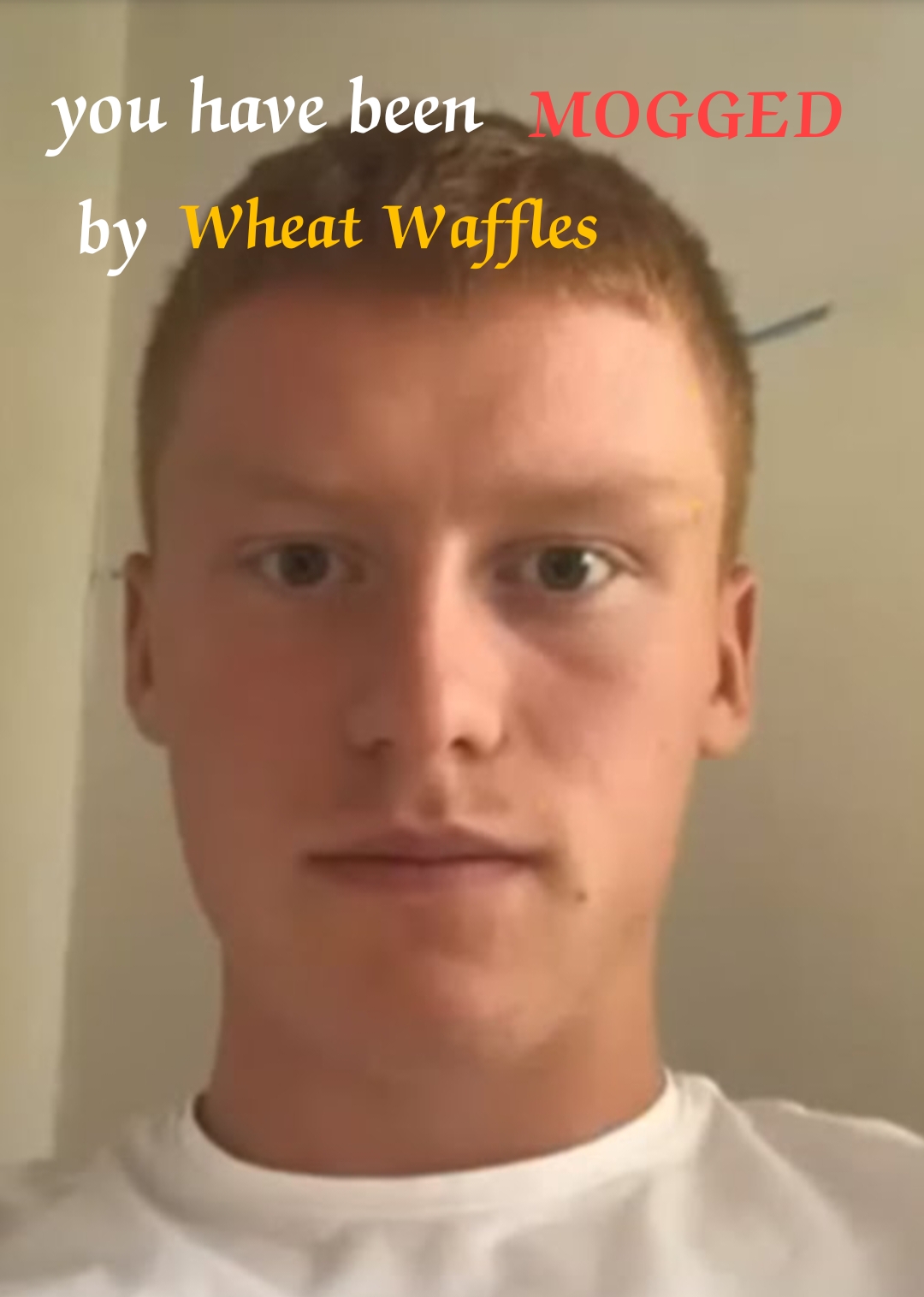 Img 20230227 191904 jpg