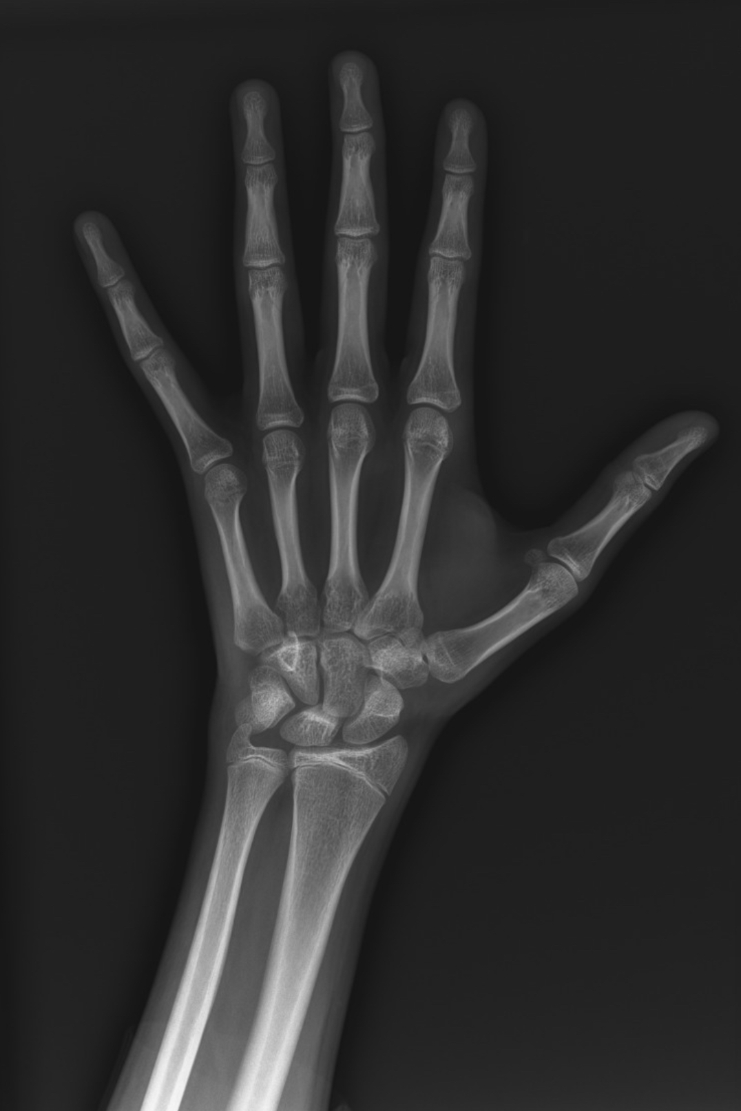 3D4C7270 7DF9 4EB2 950A D8E6A13BA9C9