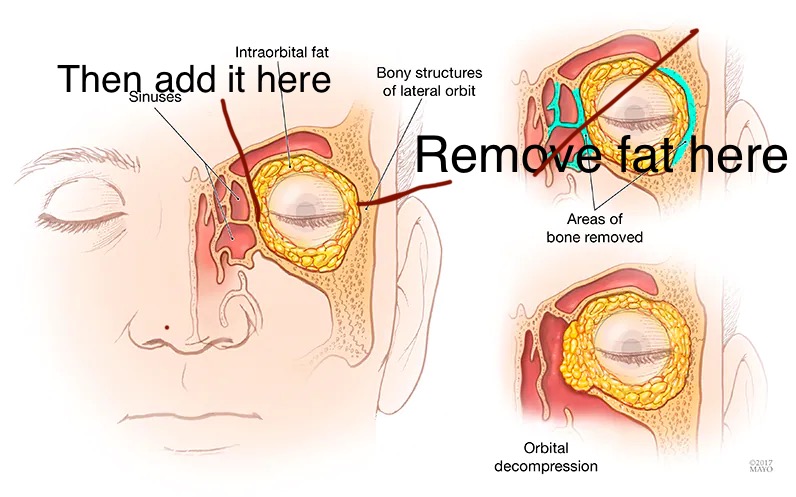 53B0A242 7D98 40EE A4C8 83C4B7979EB7