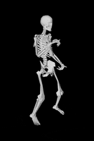 Skeledance