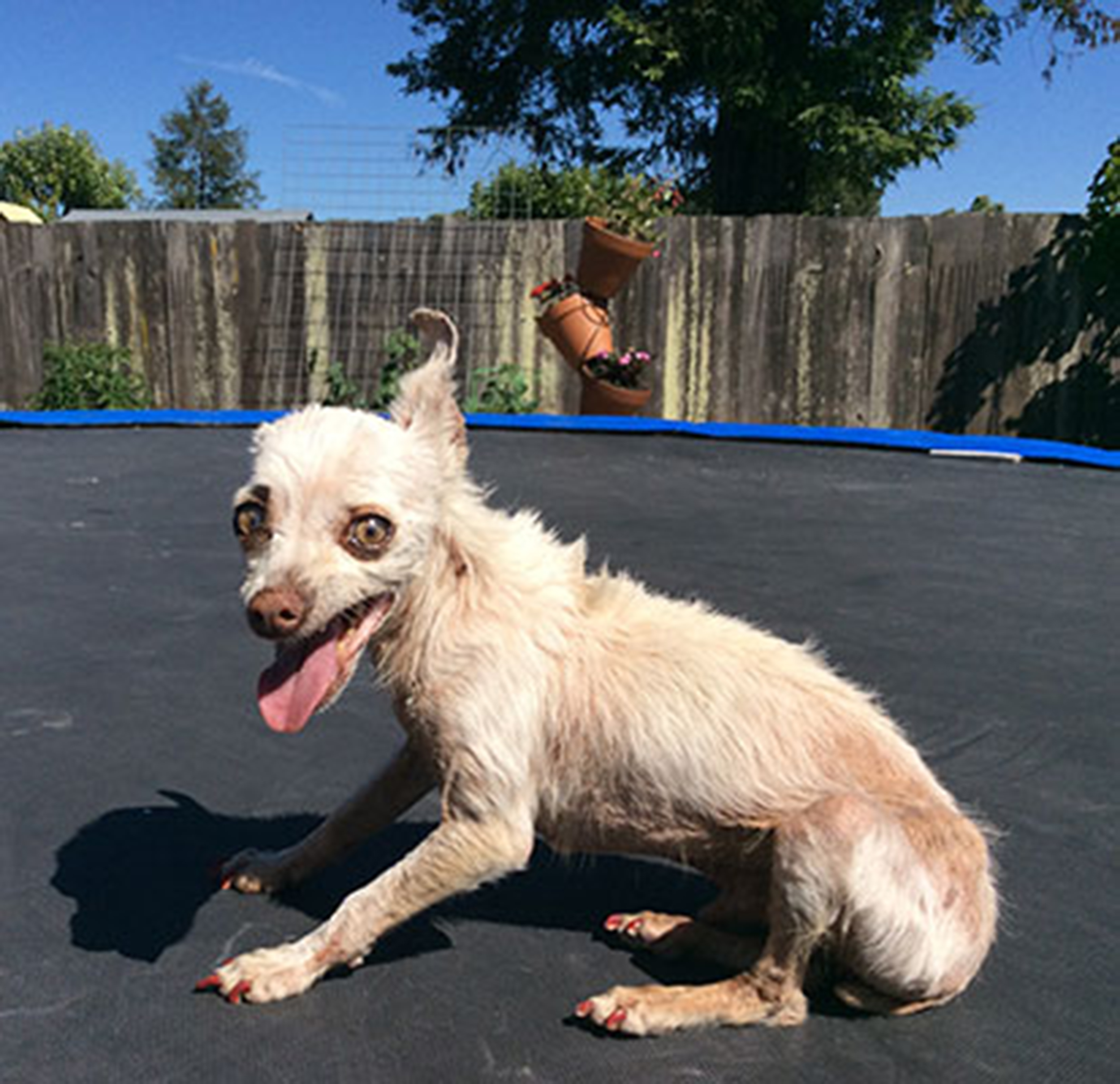 4E6102D2 AD6F 42FB 9FA0 C1F6F6976034