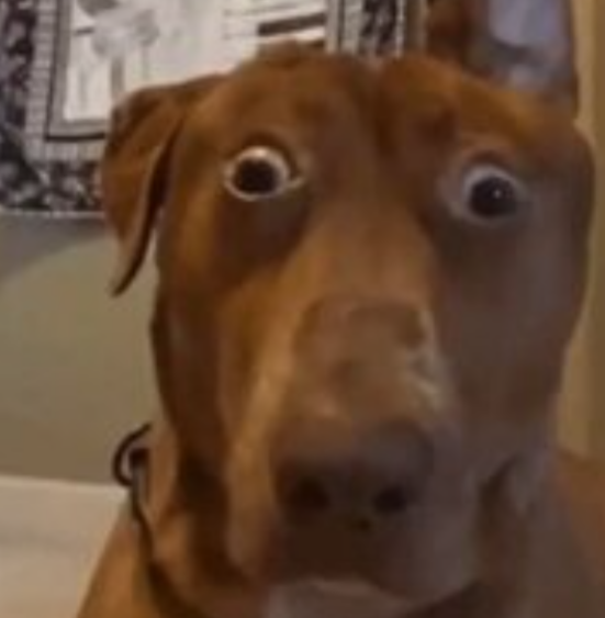 Screenshot 20230315 181842 528