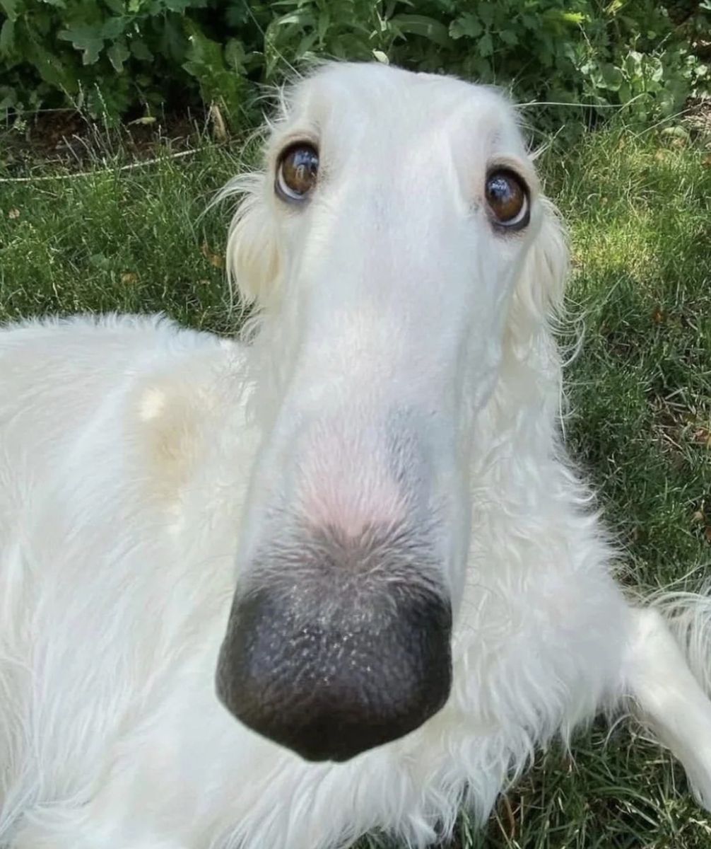 E442FC49 F85B 4BB1 A411 321E863D12BE