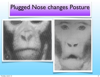 Airway ortho 2 std and facial growth 21 320 1