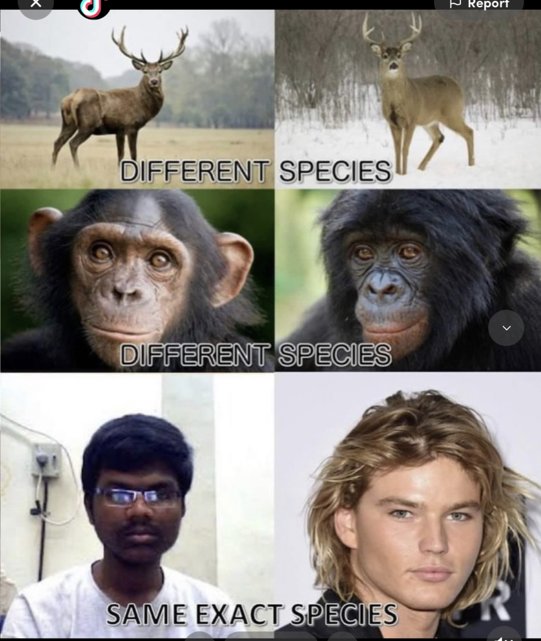 E038605B AB6E 4A45 BBA1 E7DFF0501E44