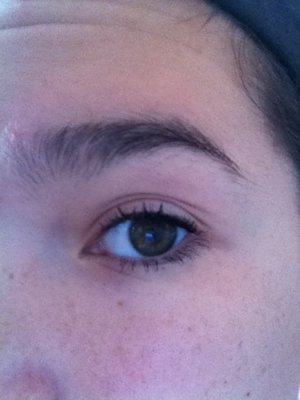 0657C44A 81CF 49A9 9C8A C70BBD9E6114