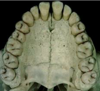 3F547916 F3BC 4D47 919F FD9C57684905