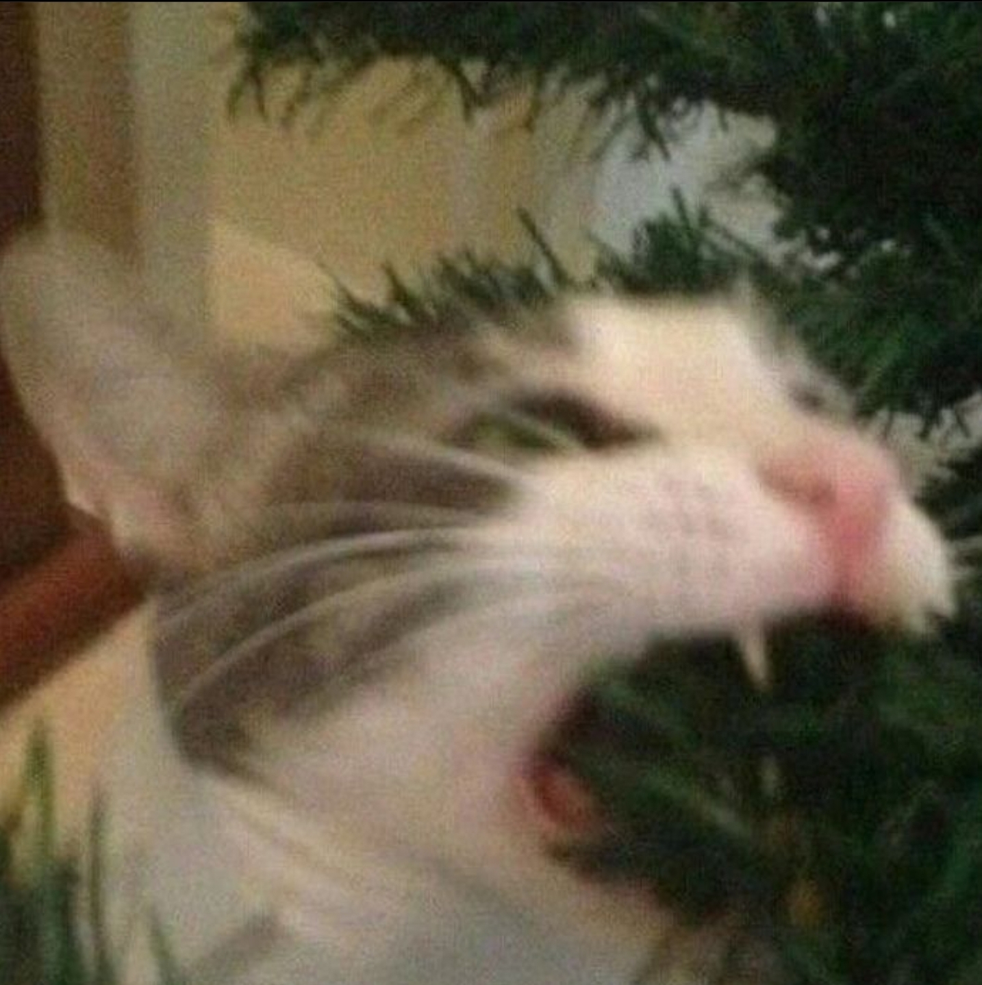 Screenshot 20220119 153335 Instagram