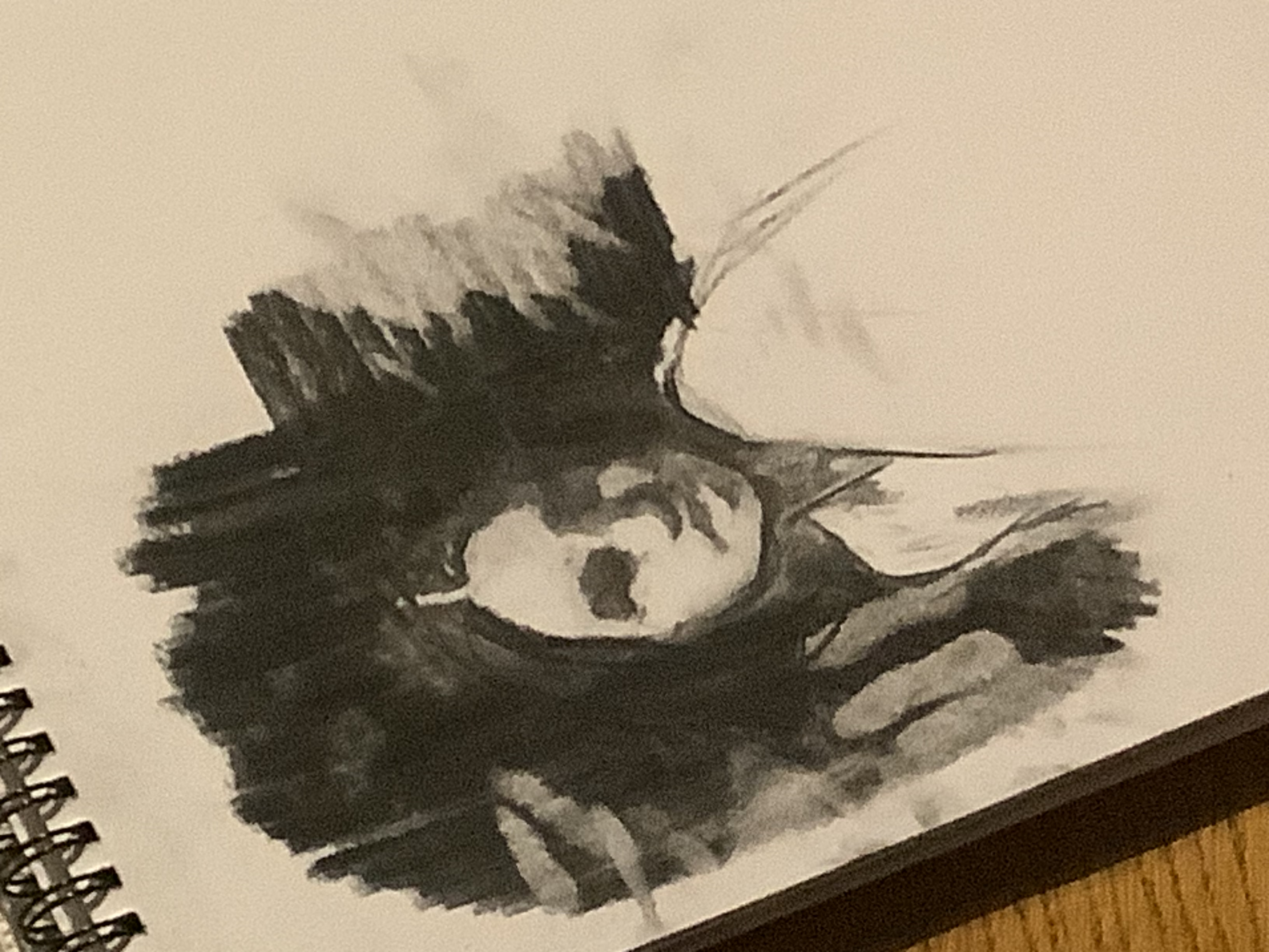 408E7B18 8044 40E0 B3F0 32CB3DA72815