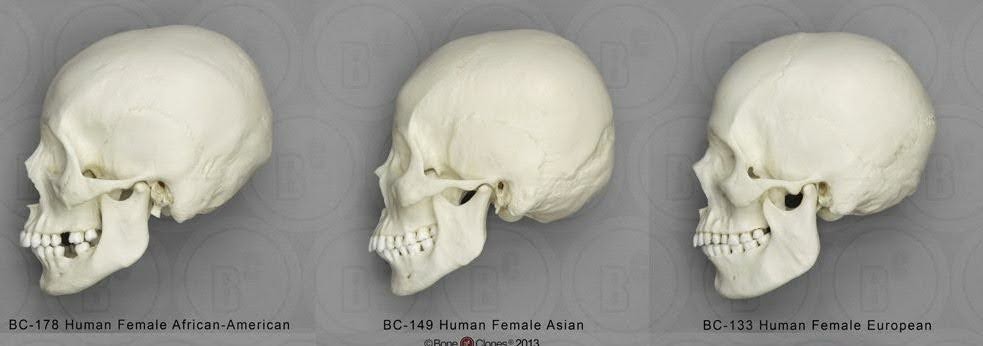 7322909530a78b3744c21615c6c17049 1