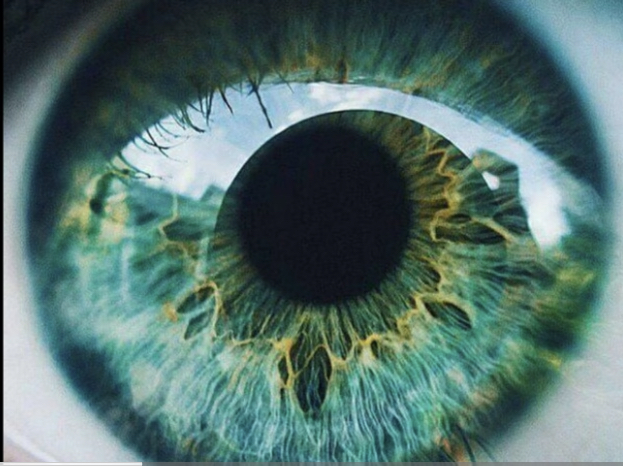 8D8060DA DF9C 41F7 9B54 CBD665630ECD