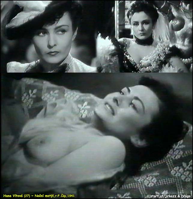 Vitova nocni motyl 01