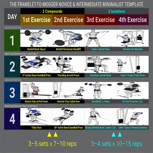 Simple Minimalist Mogger Routine.png