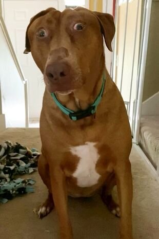 3321381 8064C503 AC31 4C3C B3B1 9D090D7D0937