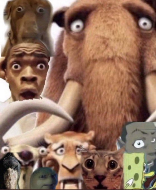 3325855 20230320 103452