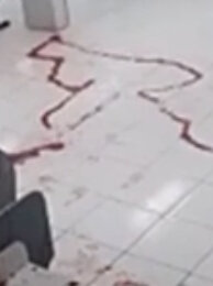 8923BCC4 2DFF 4405 B902 4EC6C20EB479