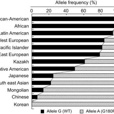 The-allele-frequencies-of-the-wild-type-WT-Gly180-and-the-538GA-Arg180-variant-of_Q640.jpg