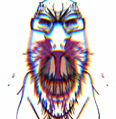 SoyJack.gif