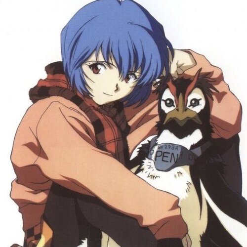 Rei 5