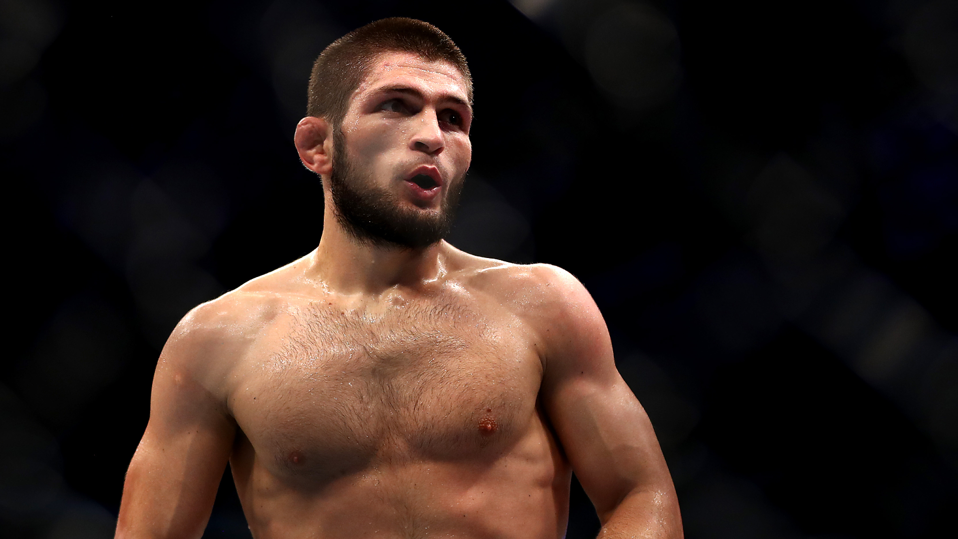 Khabib nurmagomedov ufc zm8q8d02y1km1j0dg0f14jaqm