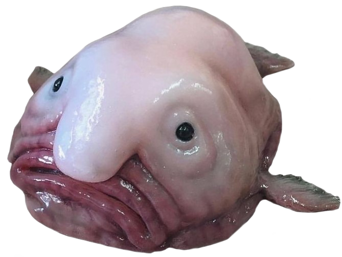 Blob