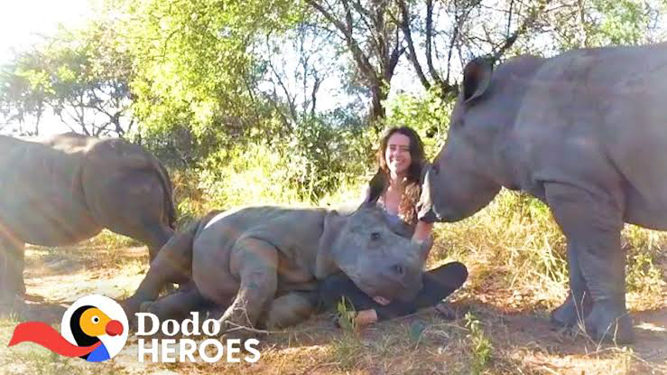 1680364574307