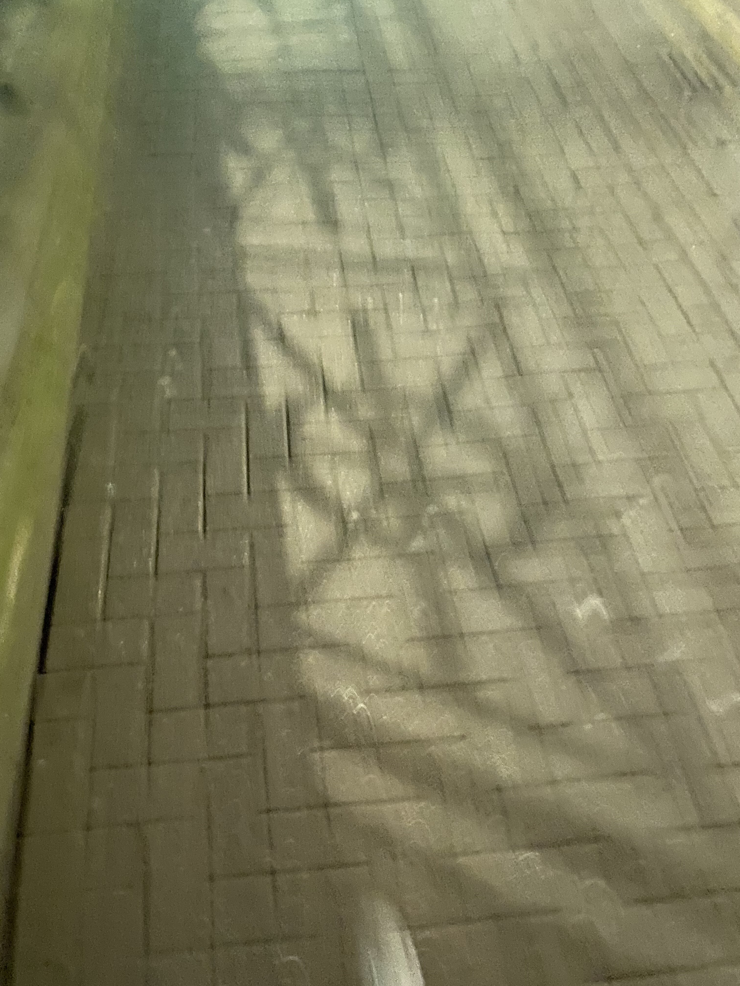 5B65618C 1102 418E 9B72 64042C86CBCA
