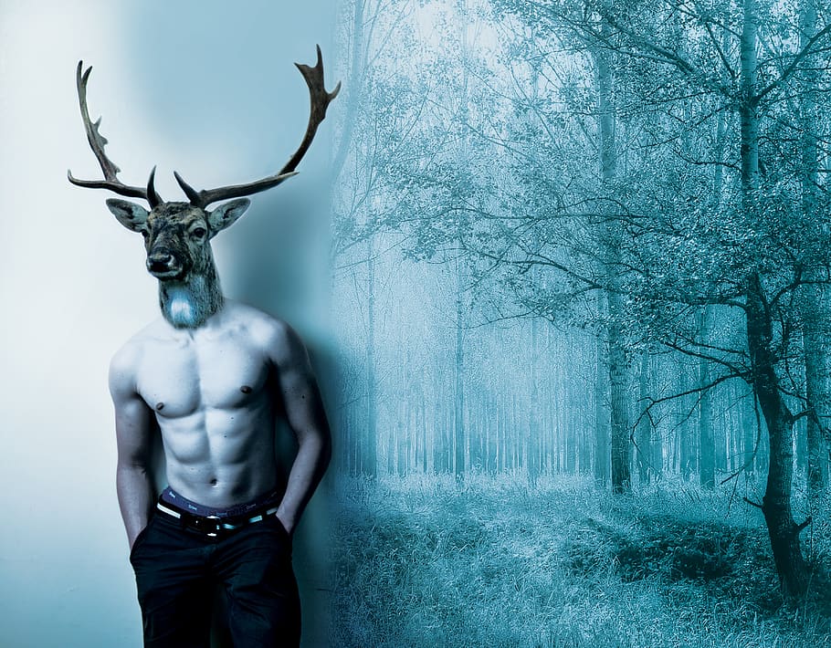 Deer man fantasy forest