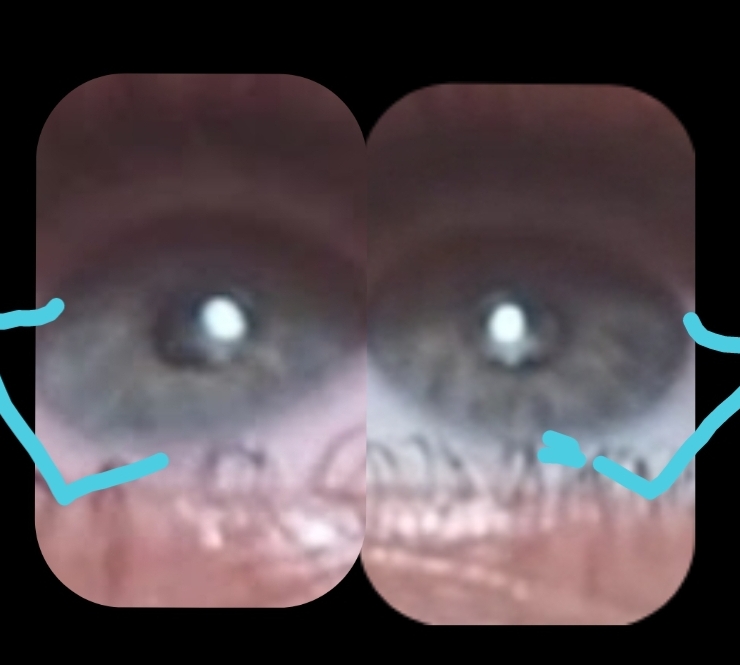 Screenshot 20230403 011223 PicCollage