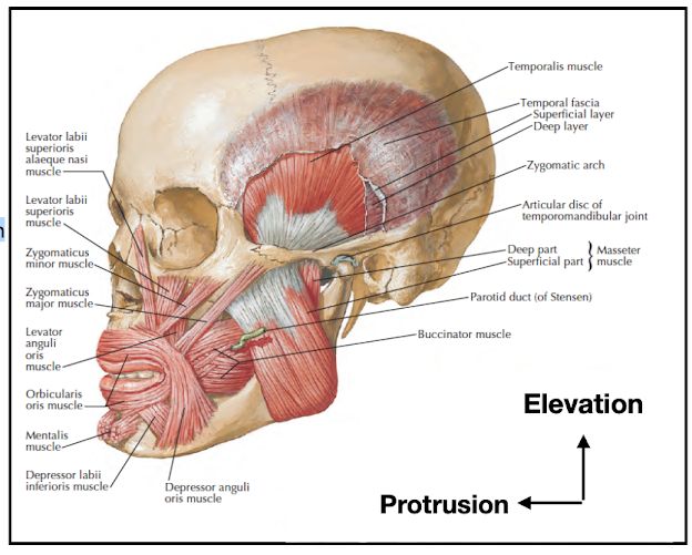 58ea89588adf513d5d087ae5eaea2753