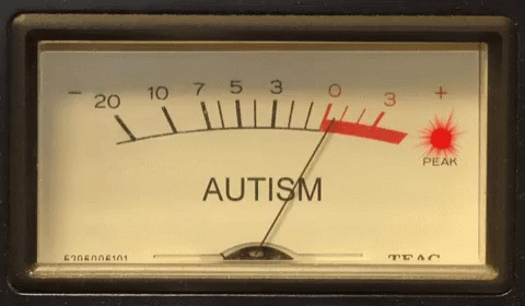 Meter autism
